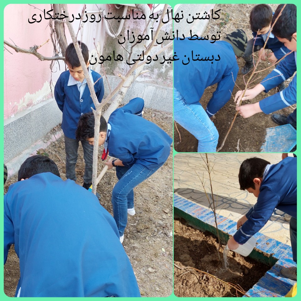روز درختکاری در دبستان پسرانه هامون